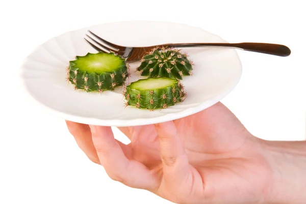 Kaktus jídlo — Stock fotografie