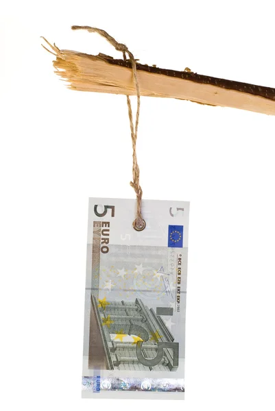 5 欧元的树枝上的标记 — 图库照片