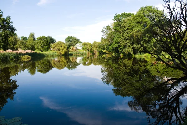 stock image Lake on a sunny day