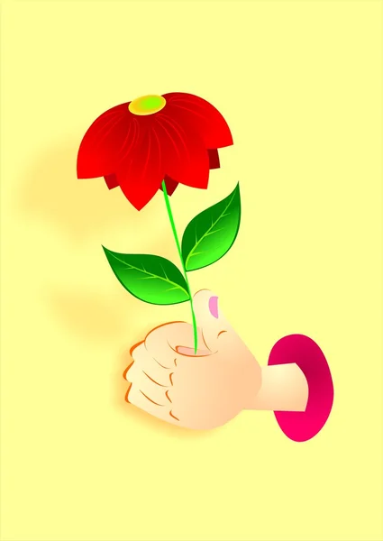 Hand holds a red flower — Stock Vector