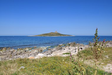 Isola delle femmine gelen bir manzara