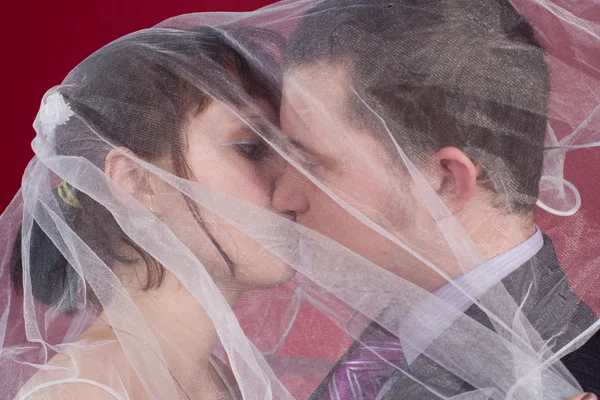 Kussen paar pasgetrouwden achter huwelijkssluier — Stockfoto