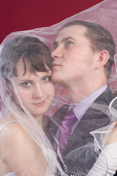 Knuffelen paar pasgetrouwden achter huwelijkssluier — Stockfoto