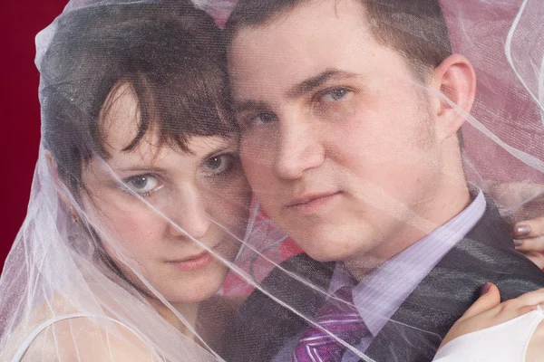 Knuffelen paar pasgetrouwden achter huwelijkssluier — Stockfoto