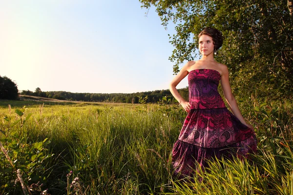 Hermosa chica en vestido en el campo —  Fotos de Stock