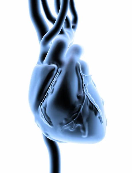 3D-s szív — Stock Fotó