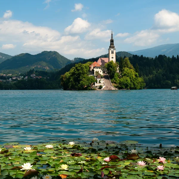 Jezero krvácelo ve Slovinsku — Stock fotografie