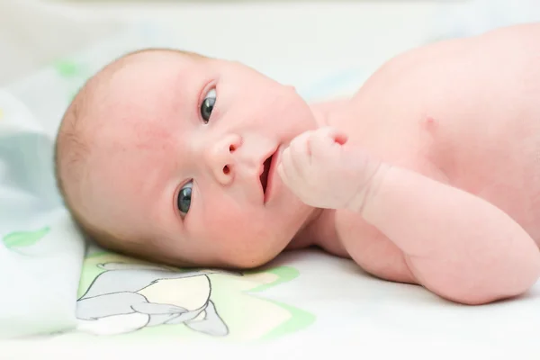 Portrait of a newborn baby. Boy, six days — Stock Photo, Image
