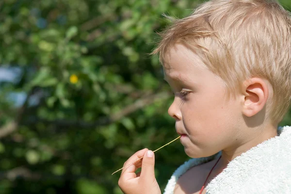 Little boy holding a blade of grass in his mouth — Stock Photo, Image