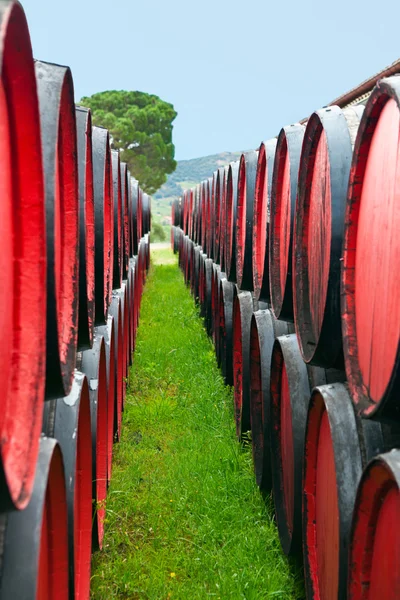 stock image Wine barrels in a winery, France
