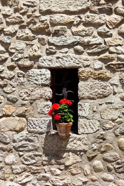 Παράθυρο σε έναν παλαιό τοίχο με λουλούδι — Φωτογραφία Αρχείου