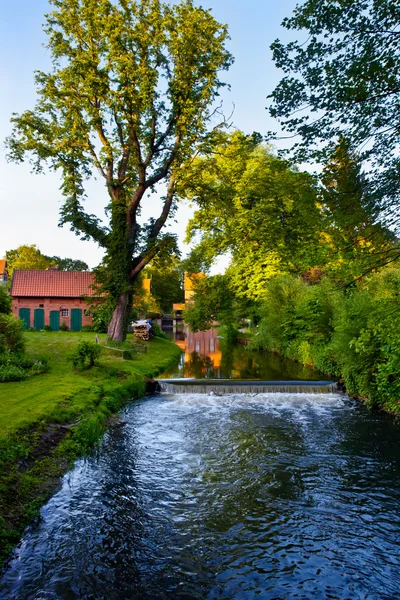 stock image Summer landscape with river