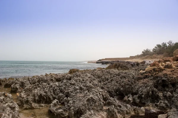 Kamenitá pláž Stock Snímky