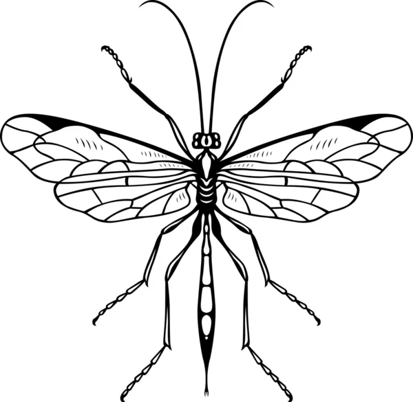 Vlinder — Stockvector