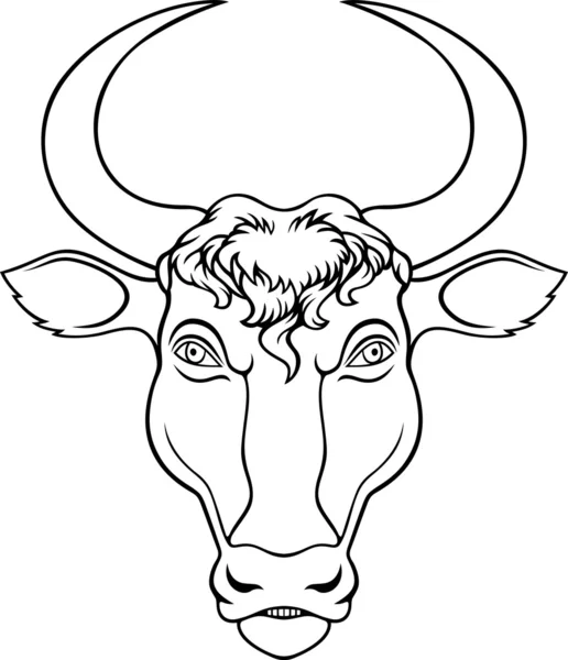 Head of bull — Stock Vector