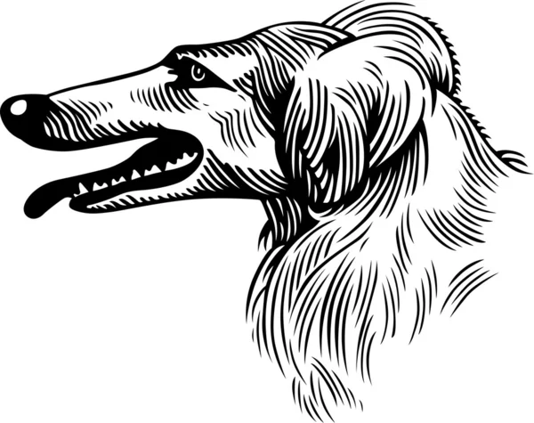 Hundens huvud — Stock vektor