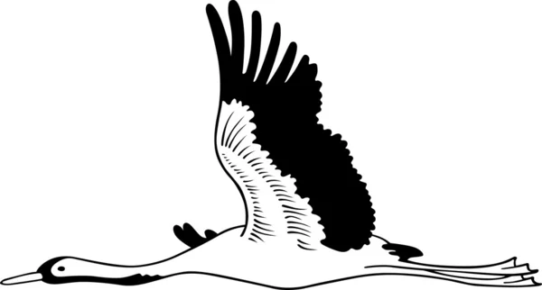 Cigüeña volando — Archivo Imágenes Vectoriales