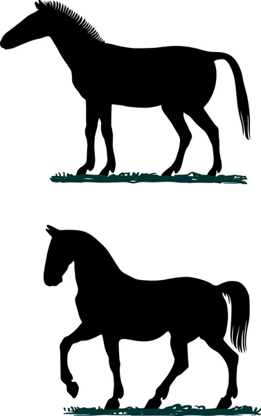 Cavalli — Vettoriale Stock