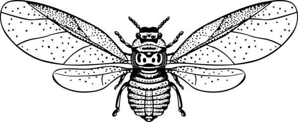Літаючих комах — стоковий вектор
