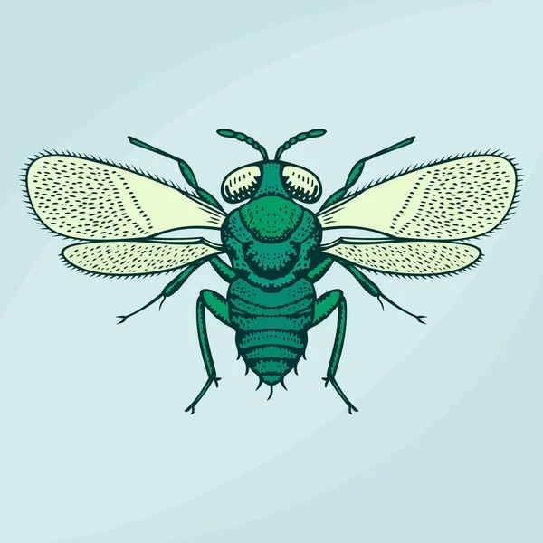 Векторная муха — стоковый вектор
