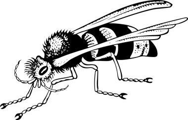 Vector wasp clipart