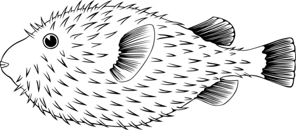 ベクトルの魚 — ストックベクタ