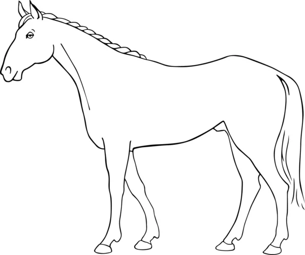 Vector horse — Stock Vector