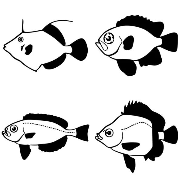Vector fish — Stock Vector