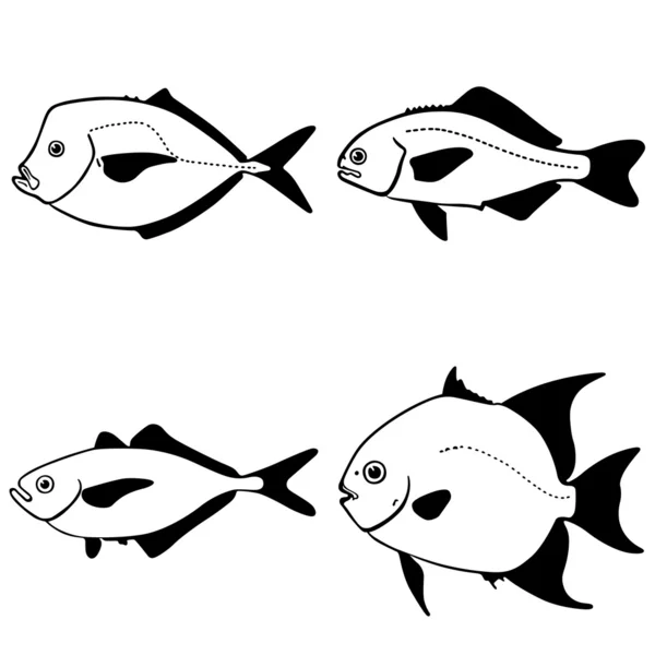 Peixes vectores —  Vetores de Stock