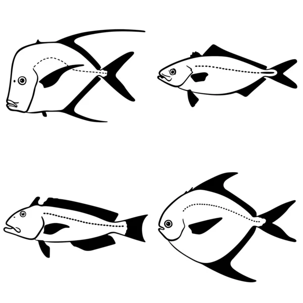 Vektorfische — Stockvektor
