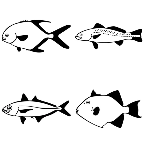 Ryba wektor — Wektor stockowy