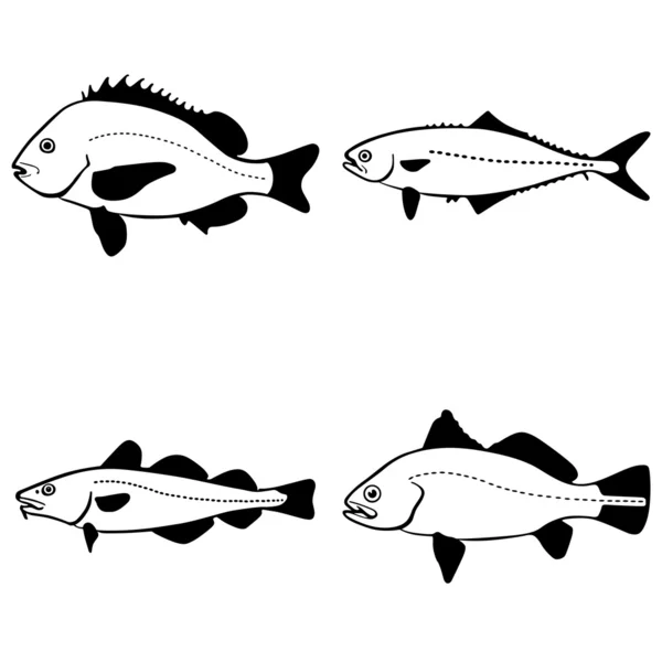 Διάνυσμα ψάρια — Διανυσματικό Αρχείο