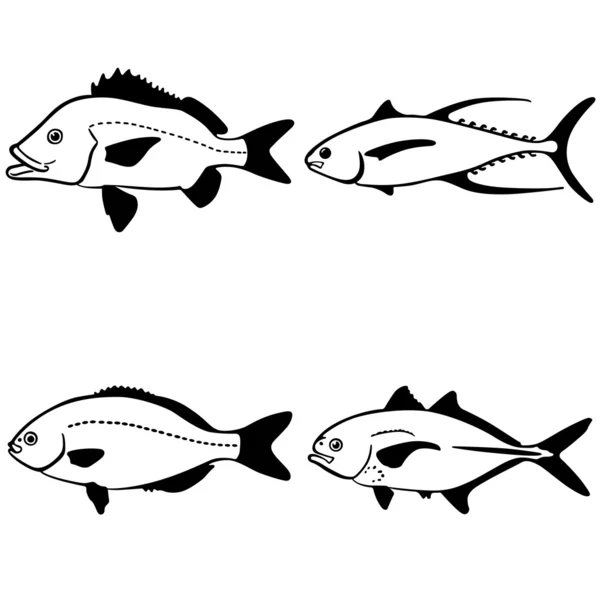 Вектор риби — стоковий вектор