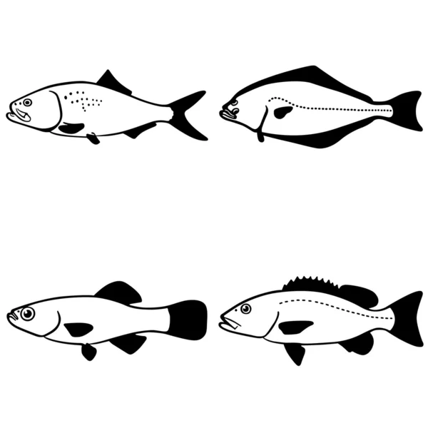 Ryba wektor — Wektor stockowy