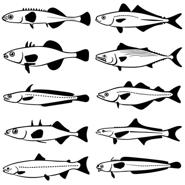 Вектор риби — стоковий вектор