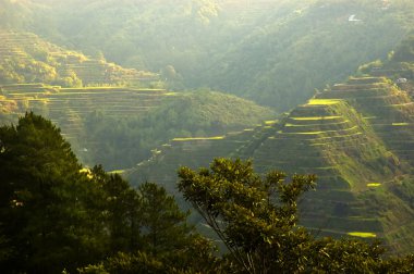 Banaue Sunrise clipart