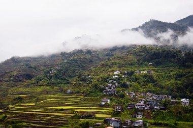 Banaue Rice Terraces clipart