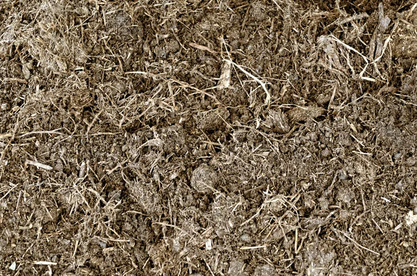 Soil Texture — Stock Photo, Image