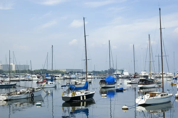 stock image Sailboats