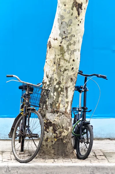 Chińskich rowerów — Zdjęcie stockowe