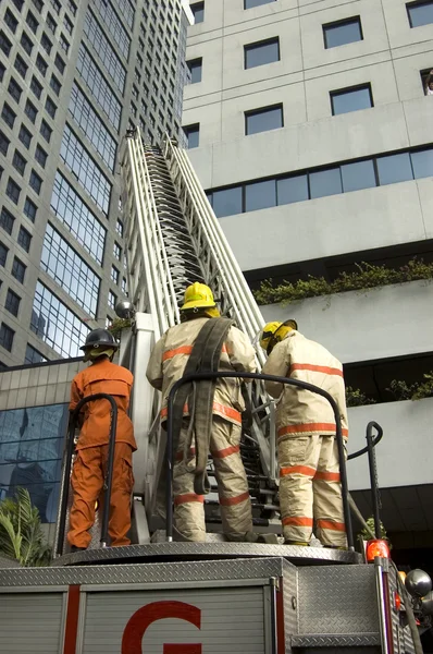 stock image Firemen