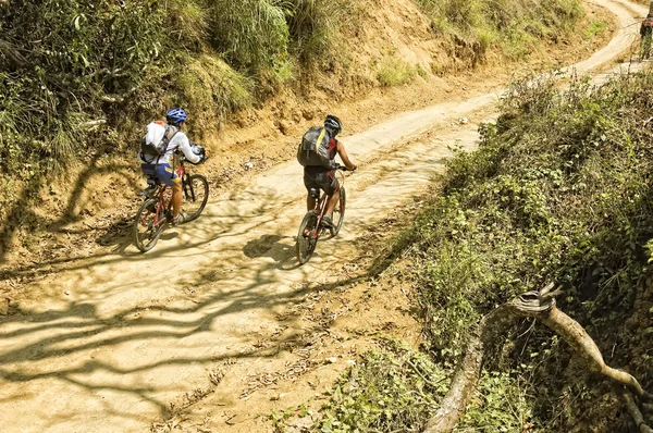 山地自行车探险 — 图库照片