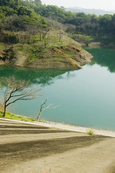 Filippinsk dam — Stockfoto