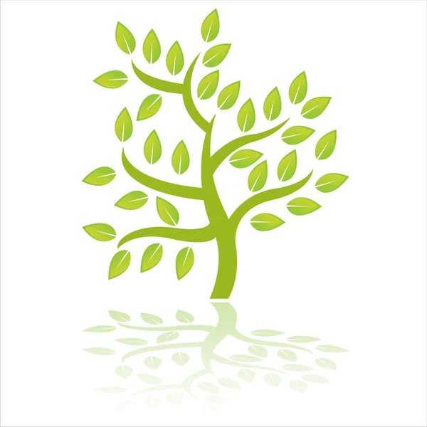 Groene boom geïsoleerd op wit — Stockvector