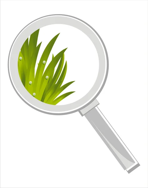 Magnifying glass with grass isolated on white — Stock Vector