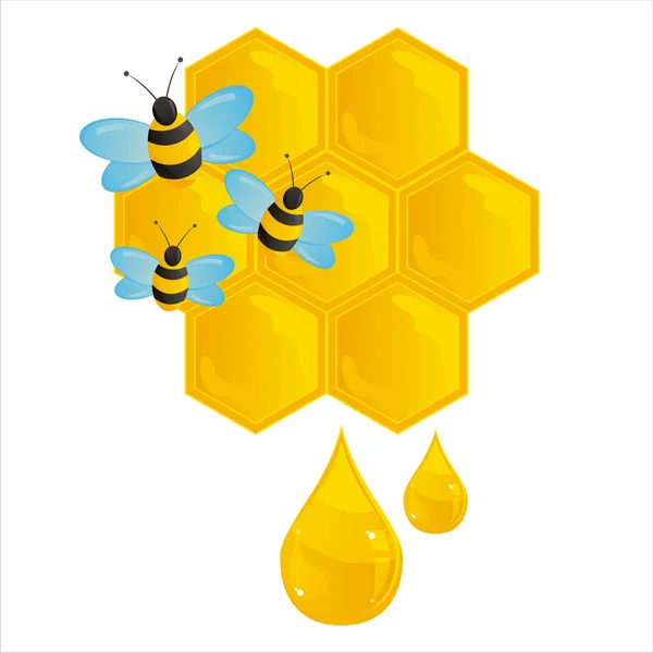 Peignes avec abeilles isolées sur blanc — Image vectorielle