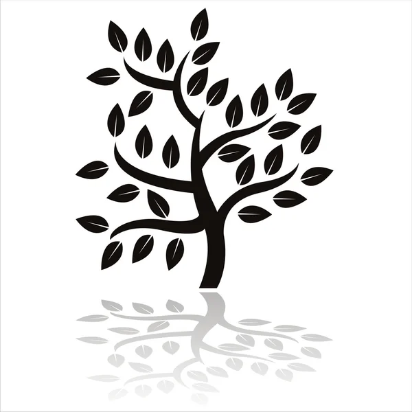 Tree silhouette isolated on white — Stock Vector