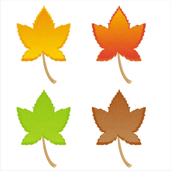 Colorful autumn leaves — Stock Vector