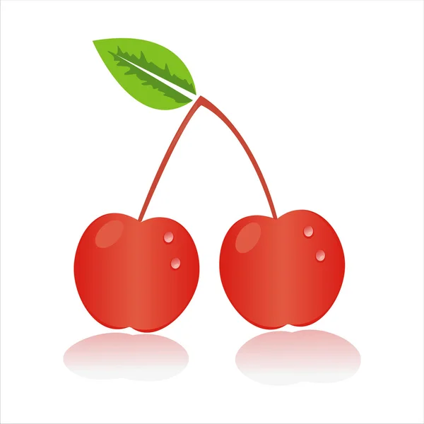 Cherry isolated on white — Stock Vector