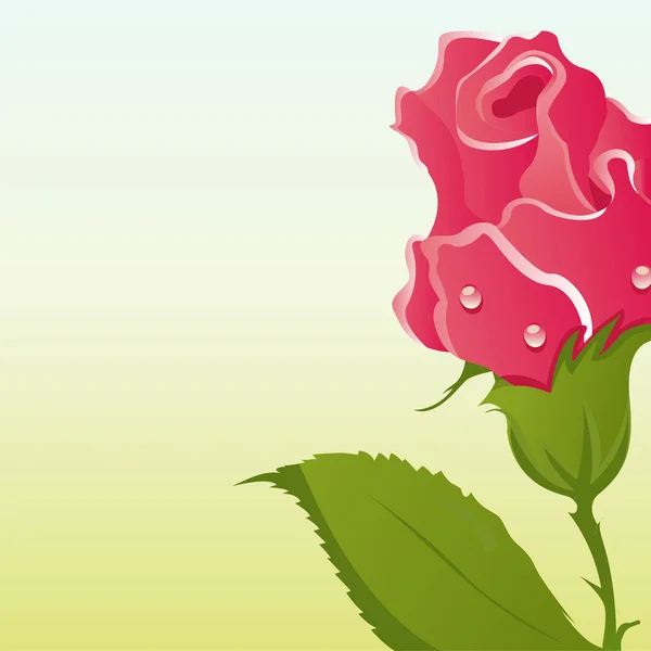Trandafiri fundal — Vector de stoc
